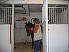 IMG_8110.JPG