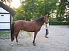 IMG_8112.JPG