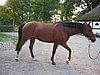 IMG_8113.JPG