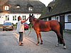 IMG_8115.JPG