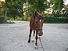 IMG_8119.JPG