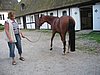 IMG_8120.JPG