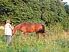 IMG_8121.JPG