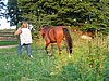 IMG_8126.JPG