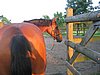 IMG_8128.JPG