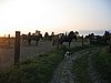 IMG_8132.JPG