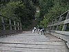 185_8527.JPG