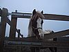 191_9189.JPG