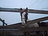 191_9190.JPG