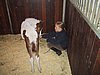 175-7581_IMG.JPG