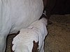 175-7584_IMG.JPG