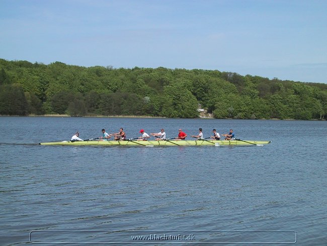 133-3328_IMG.JPG