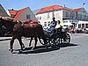 132-3291_IMG.JPG