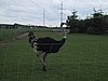 137-3705_IMG.JPG