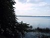 137-3798_IMG.JPG