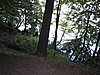 138-3801_IMG.JPG