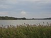 IMG_0269.JPG