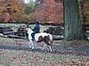 164-6477_IMG.JPG