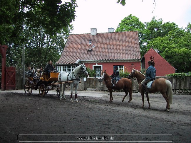 136-3606_IMG.JPG