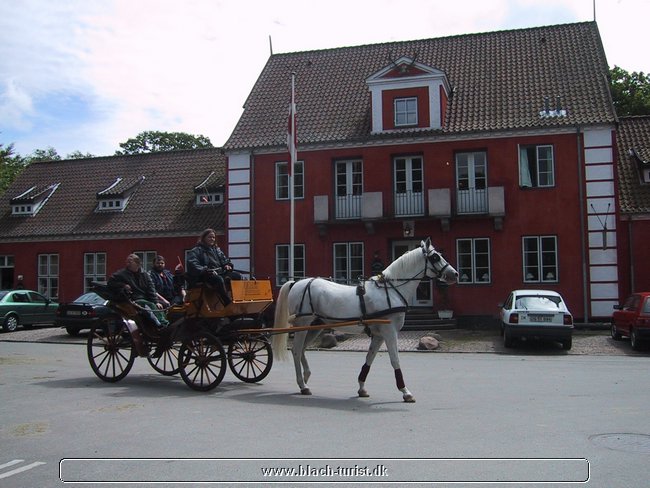 136-3695_IMG.JPG