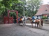136-3610_IMG.JPG