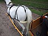136-3615_IMG.JPG