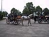136-3657_IMG.JPG