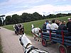 136-3662_IMG.JPG