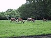 136-3665_IMG.JPG