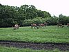 136-3666_IMG.JPG