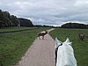 136-3667_IMG.JPG