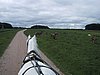136-3668_IMG.JPG