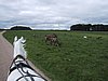 136-3669_IMG.JPG