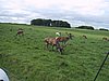 136-3670_IMG.JPG