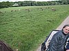 136-3672_IMG.JPG