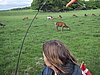 136-3673_IMG.JPG