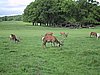 136-3674_IMG.JPG
