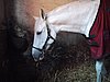 136-3696_IMG.JPG