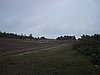 212_1219.JPG