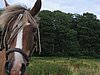 IMG_7825.JPG