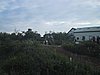 215_1503.JPG
