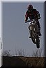 IMG_9527.jpg