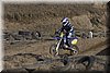 IMG_9595.jpg