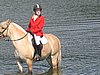 IMG_8069.JPG
