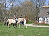 IMG_1423.JPG