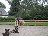 159-5973_IMG.JPG