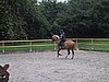 159-5975_IMG.JPG