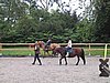 159-5976_IMG.JPG