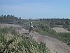 211_1115.JPG