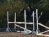 IMG_1007.JPG